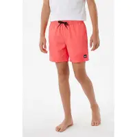 Quiksilver Everyday Volley 14´´ Badebukse