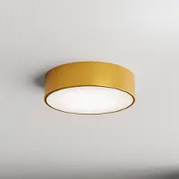 TEMAR LIGHTING Taklampe Cleo 300, IP54, Ø 30 cm gull