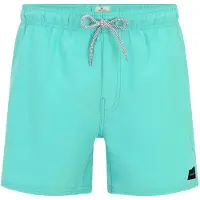 Rip Curl Offset Volley Boardshorts blå