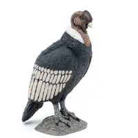 Papo Condor - H: 8 cm - - OneSize - Lekedyr