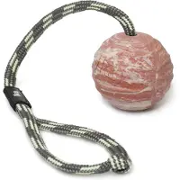 Julius-K9 Solid Ball Med Tau Assortert