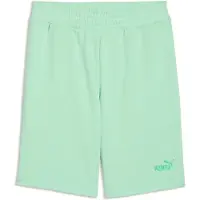 Puma Essentials 10" Shorts Men, Clothing, Mint Jelly, S