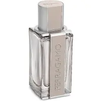Salvatore Ferragamo Ferragamo Bright Leather Men 50ml Eau De Toilette