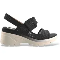 Hispanitas for woman. HV264636 Black Cedar Sandals (37), 3 to 5 cm, Buckle, Casual