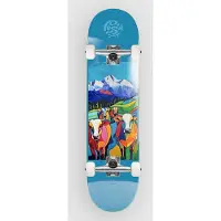Push Skateboards Nepal MLSL 7.75" Komplette blå