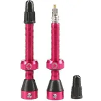 Tubolight Presta Tubeless Ventiler