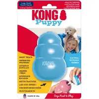 Kong valpeleketøy - L, blå L