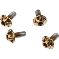 Silca Flaskeholder Skruer 25 Enheter