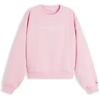 Tommy Hilfiger Ww0ww47831 Collegegenser