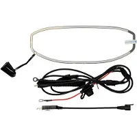 LS2 Electric Antidugg