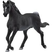 Schleich Horse Club - Arabisk hingst - H: 10 cm - 13981 - - OneSize - Lekedyr