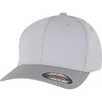 Flexfit 9295 Cap