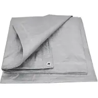 AWTOOLS Tarp 1000 x 2000 cm 120 g/m²