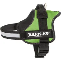 JULIUS K-9 Power Hundesele