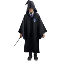 Cinereplicas Harry Potter Ravnklo-barn