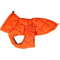 Kentucky Winter Pina Hundegenser