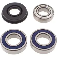 All Balls 14-1018 Ski Doo Lager-og Tetningssett For Differensial