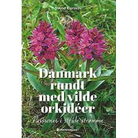 Skriveforlaget Danmark rundt med ville orkideer | Svend Klarskov | Språk: Dansk