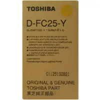 Toshiba Developer gul
