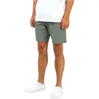 REELL Reflex Easy LW Shorts grønn