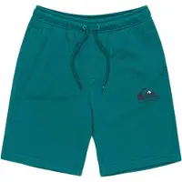 Quiksilver Easy Day Sports Shorts