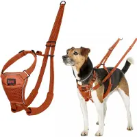 Halti Harness No Pull treningssele - Oransje, størrelse: XS, f.eks. Chihuahua