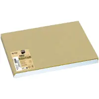 Exacompta PROnappe 500 dekkebrikker Tiss naturlakk 30,0 x 40,0 cm (324040I)