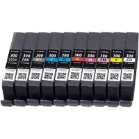 Canon Ink PFI-300 / 4192C008 Multi Pack