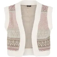 Protest Claw Vest