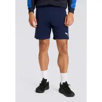 Puma Teamrise Shorts