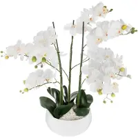 Atmosphera Orchid Jj1683 Blomsterpotte