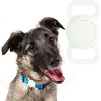 Usorteret Mobile Origin AirTag hundehalsbånd, lysende grønn