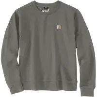 Carhartt Ts6179 Collegegenser