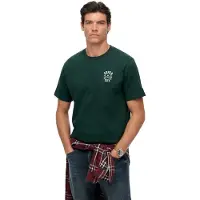 Superdry for man. M1012283A Athletic Club green T-shirt (S), Casual, Cotton, Short sleeve