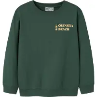 Name It Kids Collegegenser - NkmJuan - Garden Formklipping - - 11-12 år (146-152) - Collegegenser