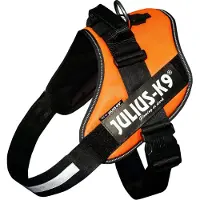 JULIUS K-9 Idc Power Hundesele