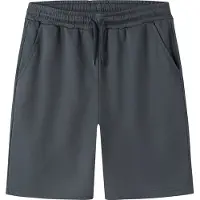 LMTD Normal Passform Shorts