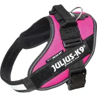 Julius-K9 K9 IDC sele, str.: 0, mørk pink, 58-76 cm
