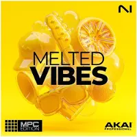 Native Instruments MPC Expansion Melted Vibes