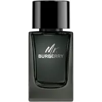 Burberry Mr. EDP 100 ml