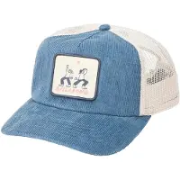 Billabong Ty Williams Trucker Caps blå