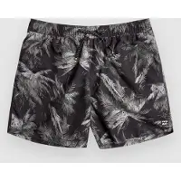 Billabong Island 16 Lb Boardshorts svart