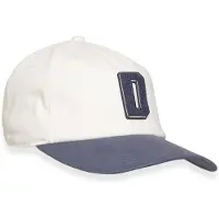 Dickies Latty Dad Caps blå
