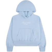 Abercrombie Kids Abercrombie Essential Logo Hoodie Ice Water (13-14 år (158/164))