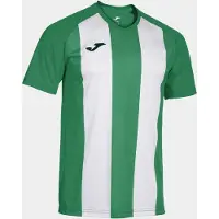 Joma Inter Iv Kortarmet T-skjorte