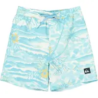 Quiksilver Everyday Printed Volley 14 Kids Boardshorts mønster