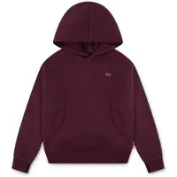 Levi's Batwing Patch Hoodie Chocolate Truffle Tidløs Logo (176 /16 år)