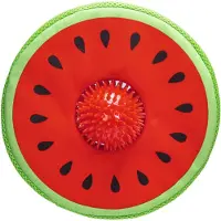 Beeztees Melon Spikie Hundleke