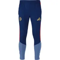 Adidas Fc Bayern Munich 26/27 Trening Treningsbukse