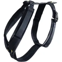 Kentucky Active Velvet Hundesele